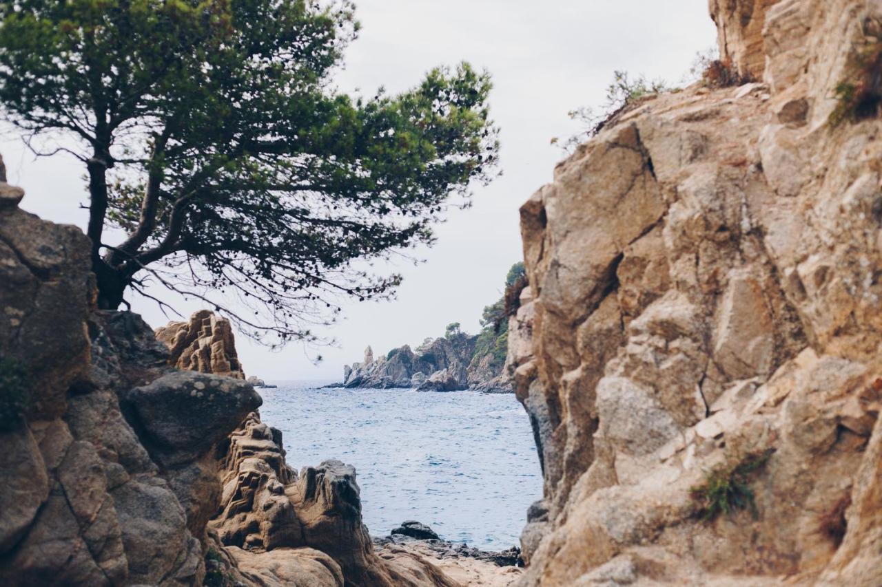 Cleopatra Spa Hotel Lloret de Mar Exteriér fotografie